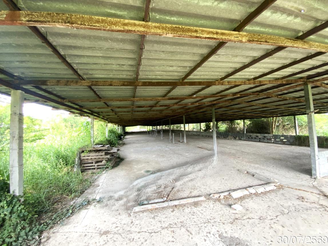 picture LAND 3345 Sq.w. Tha Wung Lopburi for 9.3M - 36/45