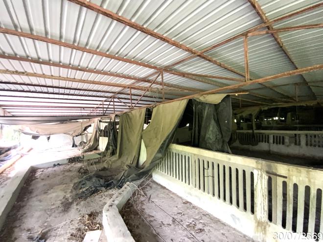 picture LAND 3345 Sq.w. Tha Wung Lopburi for 9.3M - 18/45