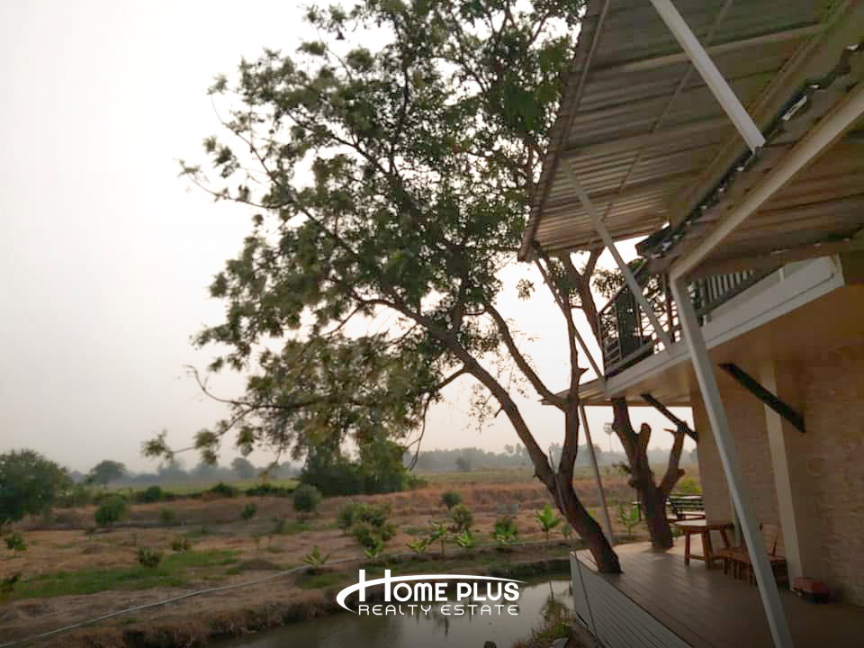 รูป 🌳 ขายที่ดินพร้อมคาเฟ่ – เนรมิต คาเฟ่ ชัยนาท - รูปที่ 4/13