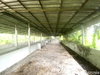 listing thumbnail image 23