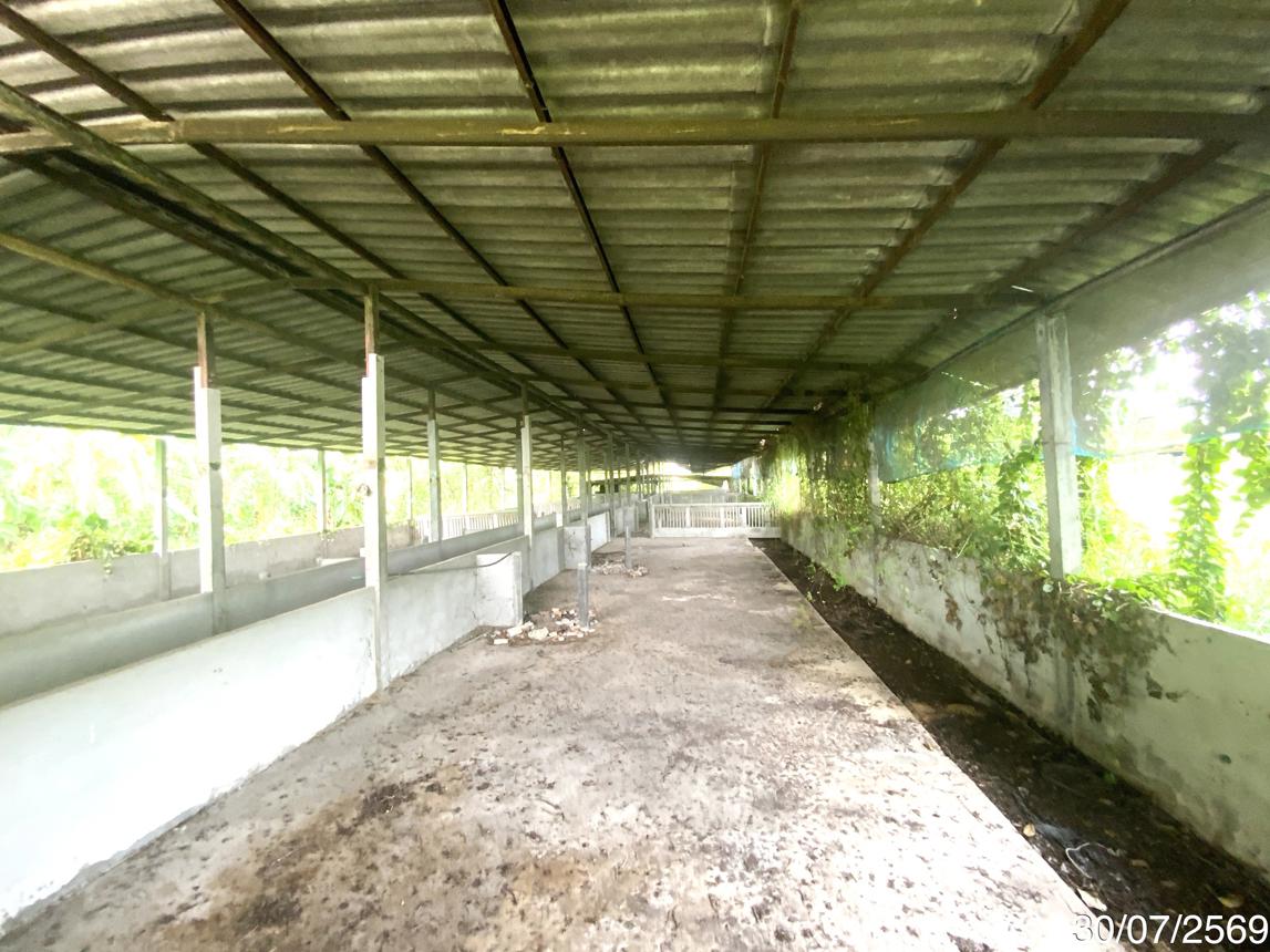 picture LAND 3345 Sq.w. Tha Wung Lopburi for 9.3M - 24/45