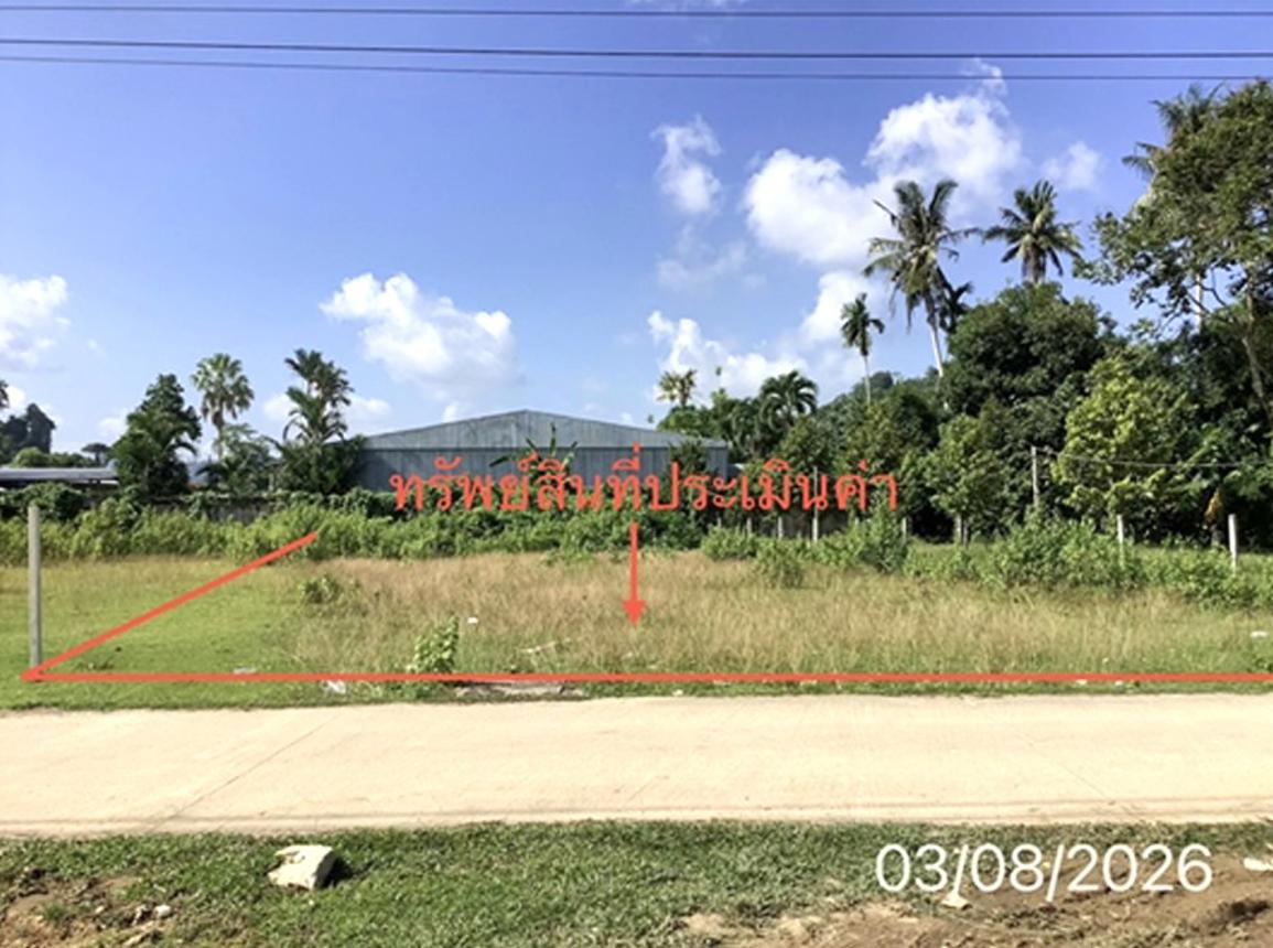 รูป ที่ดินว่างเปล่า 157.2 ตร.วา ทุ่งสง นครศรีธรรมราช 1.9M - รูปที่ 10/19