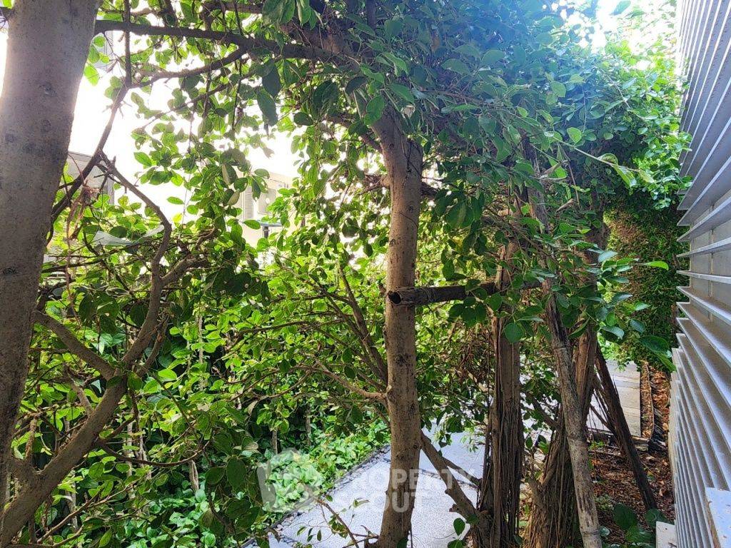 รูป ขายคอนโด 2 ห้องนอน Baan Sandao ใกล้หัวหินมาร์เก็ตวิลเลจ (ID 1440691) - รูปที่ 12/17