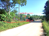 listing thumbnail image 8