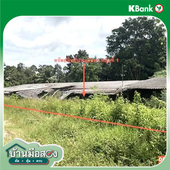 picture FACTORY 1026.6 Sq.w. Muang Trang Trang for 2.4M - 23/25