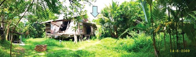 รูป บ้านเดี่ยว 332 ตร.วา รามัน ยะลา 863,000 - รูปที่ 4/13