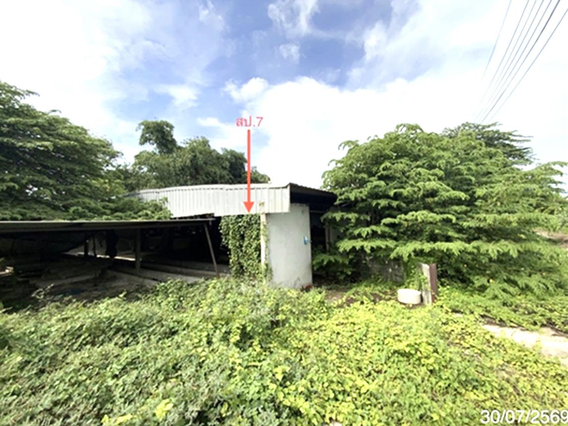 picture LAND 3345 Sq.w. Tha Wung Lopburi for 9.3M - 37/45