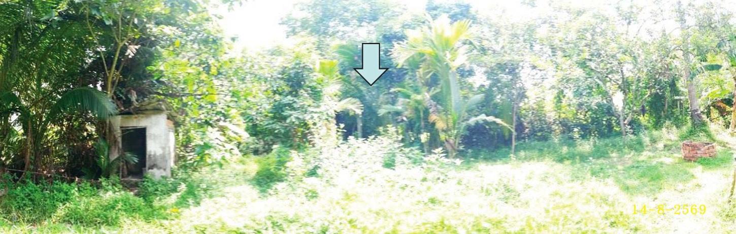 รูป บ้านเดี่ยว 332 ตร.วา รามัน ยะลา 863,000 - รูปที่ 9/13