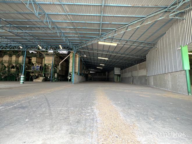 picture FACTORY 98916 Sq.w. Han Kha Chainat for 364.5M - 12/65
