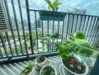 listing thumbnail image 5