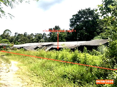 ขายโรงงาน : โกดัง 1026.6 ตร.วา เมืองตรัง ตรัง 2.4M