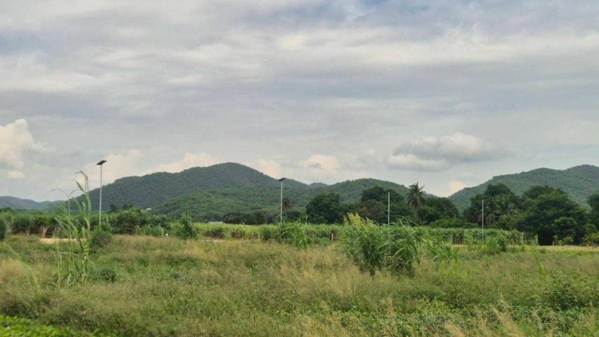 รูป ที่ดินบ้านสวนติดอ่างเก็บน้ำมวกเหล็ก ปลอดภัยมีเพื่อนบ้าน อากาศบริสุทธิ์ น้ำไม่ท่วม ใกล้เมือง - รูปที่ 2/4