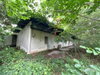 listing thumbnail image 24