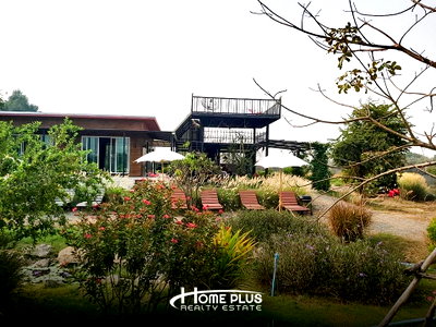 บ้านเดี่ยว มโนรมย์ ชัยนาท : 🏡 ขายบ้านพร้อมที่ดิน 14 ไร่ – ตำบลอู่ตะเภา อำเภอมโนรมย์ จังหวัดชัยนาท