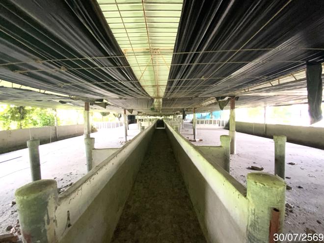 picture LAND 3345 Sq.w. Tha Wung Lopburi for 9.3M - 21/45