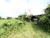 listing thumbnail image 13
