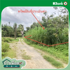 listing thumbnail image 12