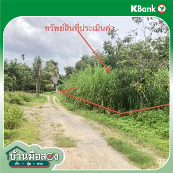 รูป ที่ดินว่างเปล่า 189.7 ตร.วา บ้านนาสาร สุราษฎร์ธานี 854,000 - รูปที่ 13/15