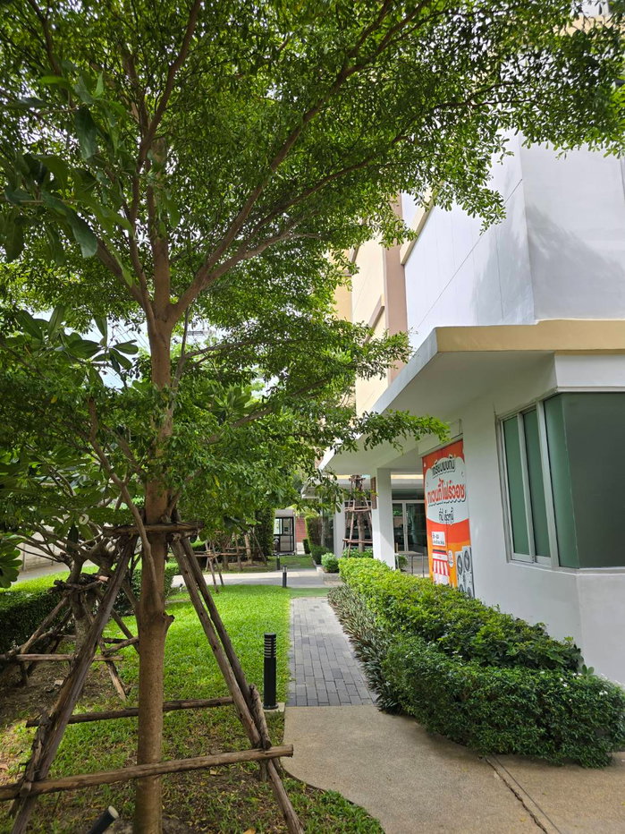 รูป ให้เช่า คอนโด B5 Kirin ราชพฤกษ์ 1 ห้องนอน ตกแต่งพร้อมอยู่ ใกล้ม.ราชพฤกษ์ เซ็นทรัลเวสท์วิลล์ - รูปที่ 10/15