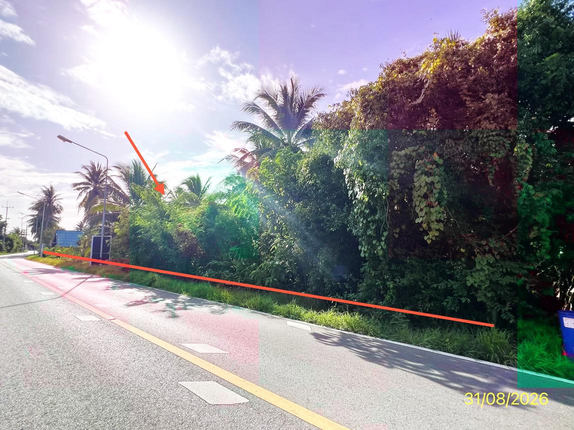 รูป บ้านเดี่ยว 5718 ตร.วา อัมพวา สมุทรสงคราม 63.1M - รูปที่ 21/25