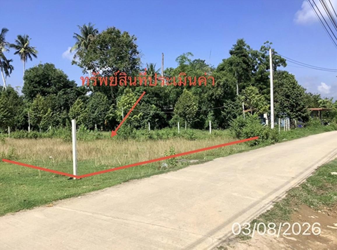 รูป ที่ดินว่างเปล่า 157.2 ตร.วา ทุ่งสง นครศรีธรรมราช 1.9M - รูปที่ 13/19