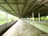 listing thumbnail image 24
