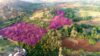 Land for sale Phra Phutthabat Saraburi : 📍 泰国沙拉武里府优质土地出售💰 售价：仅1,000万泰铢