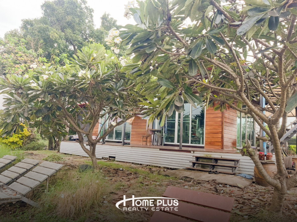 รูป 🏡 ขายบ้านพร้อมที่ดิน 14 ไร่ – ตำบลอู่ตะเภา อำเภอมโนรมย์ จังหวัดชัยนาท - รูปที่ 6/18