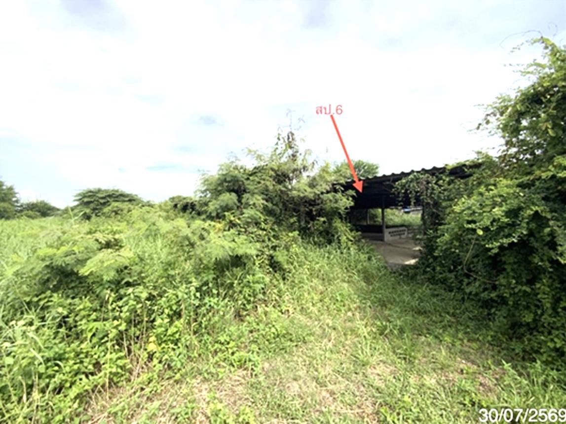 picture LAND 3345 Sq.w. Tha Wung Lopburi for 9.3M - 34/45