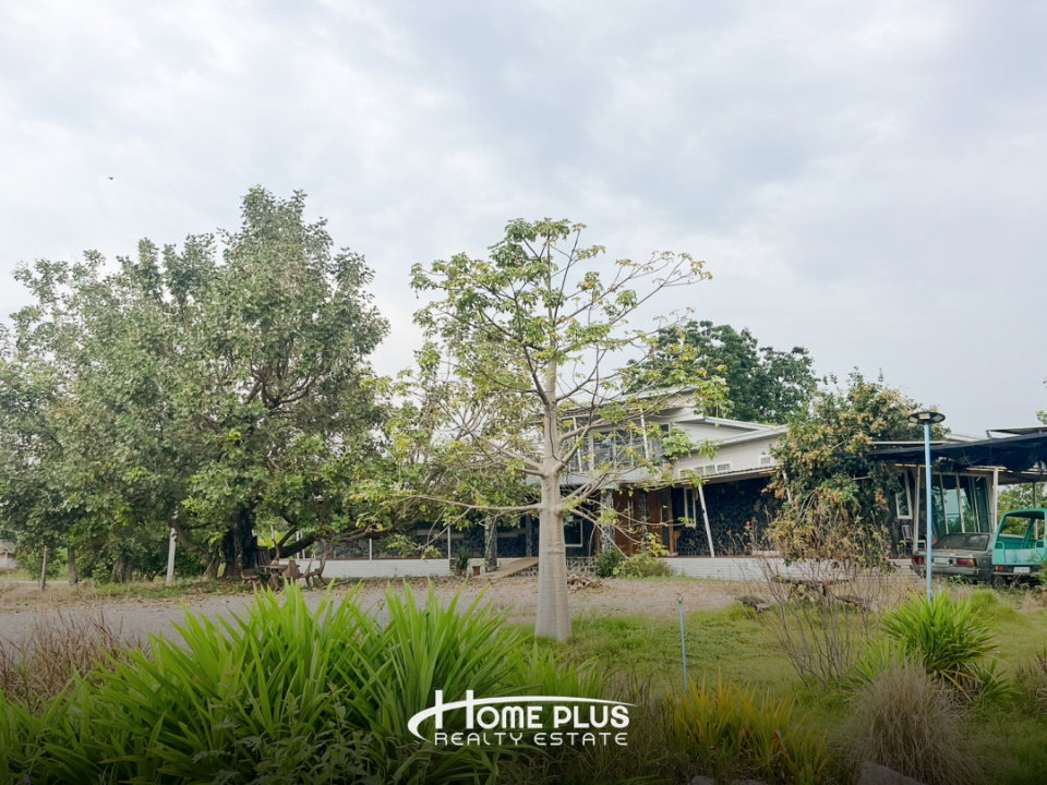 รูป 🏡 ขายบ้านพร้อมที่ดิน 14 ไร่ – ตำบลอู่ตะเภา อำเภอมโนรมย์ จังหวัดชัยนาท - รูปที่ 12/18
