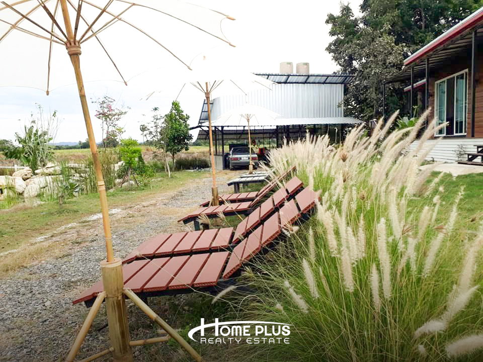 รูป 🌳 ขายที่ดินพร้อมคาเฟ่ – เนรมิต คาเฟ่ ชัยนาท - รูปที่ 10/13