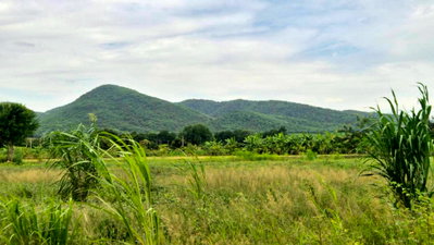 ขายที่ดิน : ที่ดินบ้านสวนติดอ่างเก็บน้ำมวกเหล็ก ปลอดภัยมีเพื่อนบ้าน อากาศบริสุทธิ์ น้ำไม่ท่วม ใกล้เมือง