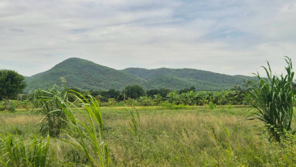 รูป ที่ดินบ้านสวนติดอ่างเก็บน้ำมวกเหล็ก ปลอดภัยมีเพื่อนบ้าน อากาศบริสุทธิ์ น้ำไม่ท่วม ใกล้เมือง - รูปที่ 1/4