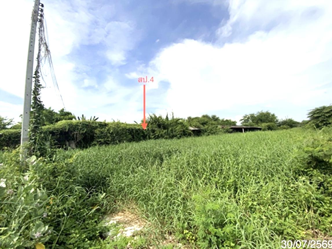 picture LAND 3345 Sq.w. Tha Wung Lopburi for 9.3M - 23/45