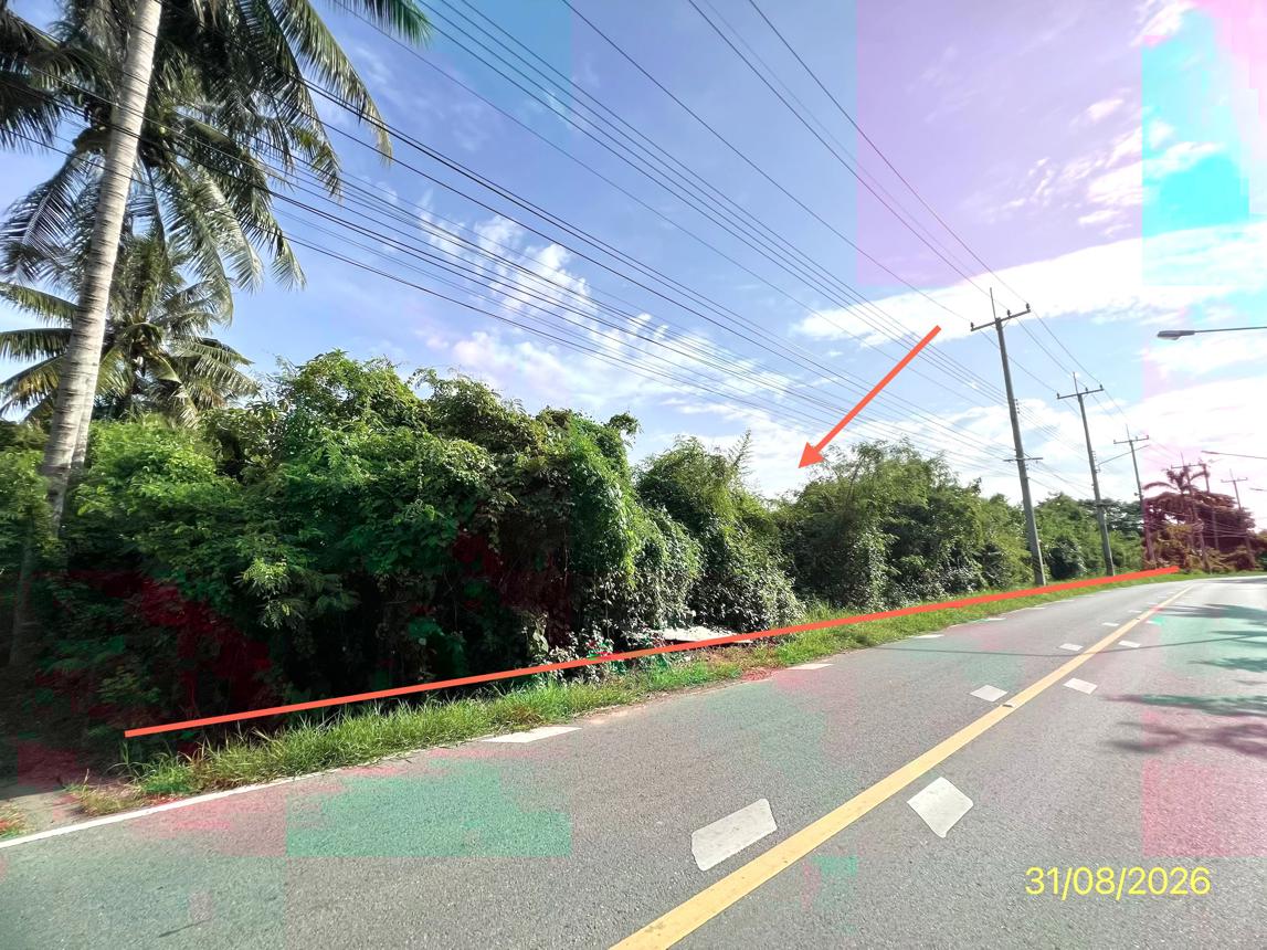 รูป บ้านเดี่ยว 5718 ตร.วา อัมพวา สมุทรสงคราม 63.1M - รูปที่ 20/25