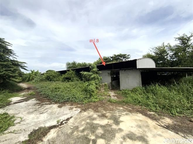 picture LAND 3345 Sq.w. Tha Wung Lopburi for 9.3M - 19/45