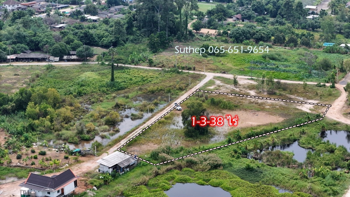รูป ขายที่ดินถมแล้ว 1-3-38 ไร่ ใกล้หาดแม่รำพึง 1 กม. ไฟฟ้า ประปาพร้อม ตะพง ระยอง - รูปที่ 5/15