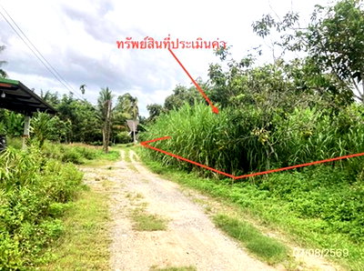 ที่ดินว่างเปล่า 189.7 ตร.วา บ้านนาสาร สุราษฎร์ธานี 854,000