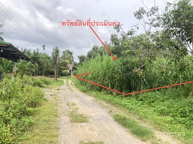 รูป ที่ดินว่างเปล่า 189.7 ตร.วา บ้านนาสาร สุราษฎร์ธานี 854,000 - รูปที่ 1/15