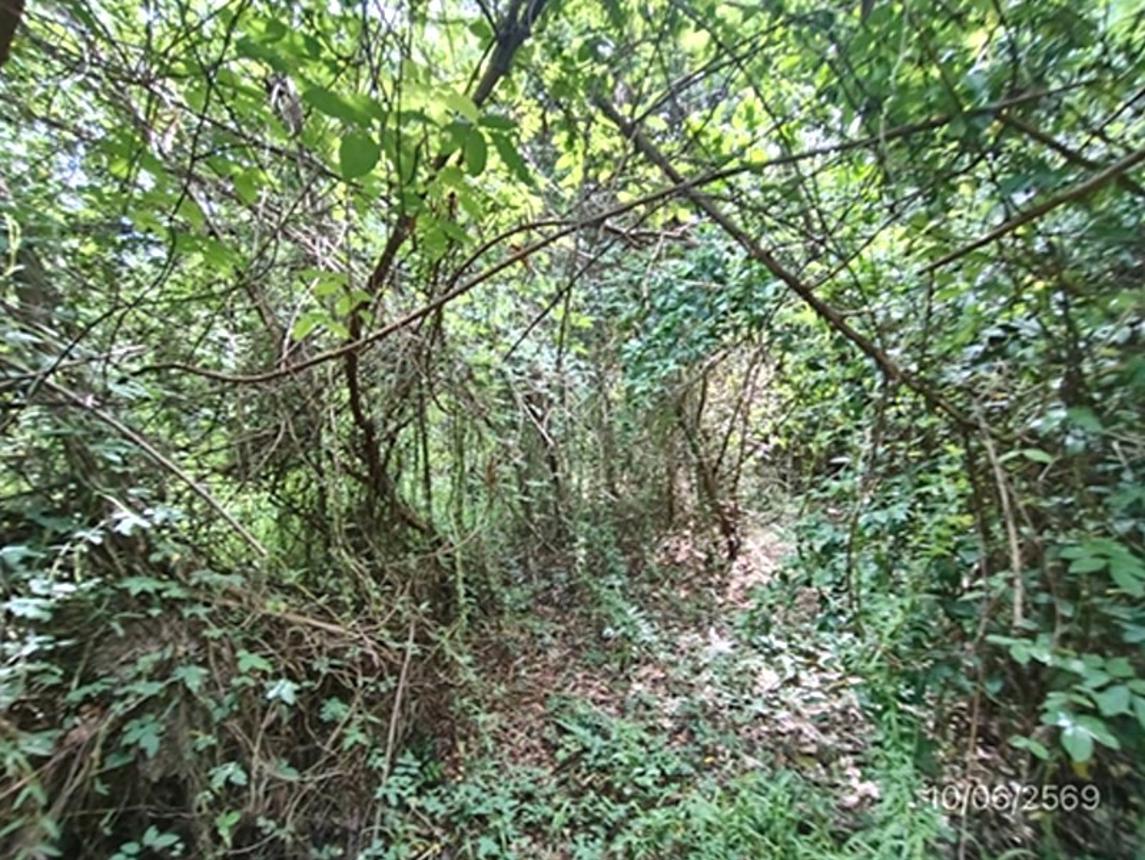 รูป ที่ดินว่างเปล่า 631.9 ตร.วา ระโนด สงขลา 948,000 - รูปที่ 15/19