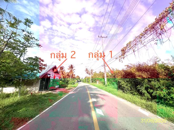 รูป บ้านเดี่ยว 5718 ตร.วา อัมพวา สมุทรสงคราม 63.1M - รูปที่ 9/25