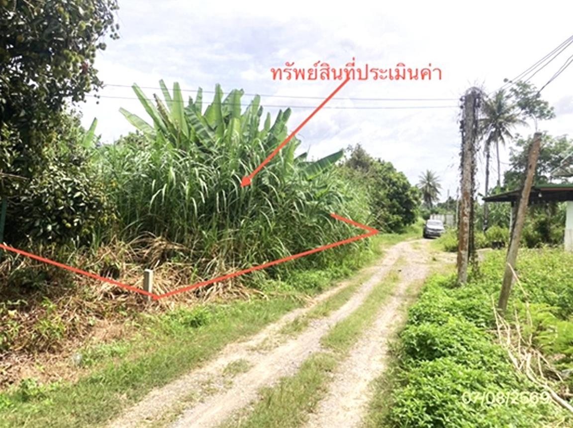 รูป ที่ดินว่างเปล่า 189.7 ตร.วา บ้านนาสาร สุราษฎร์ธานี 854,000 - รูปที่ 8/15