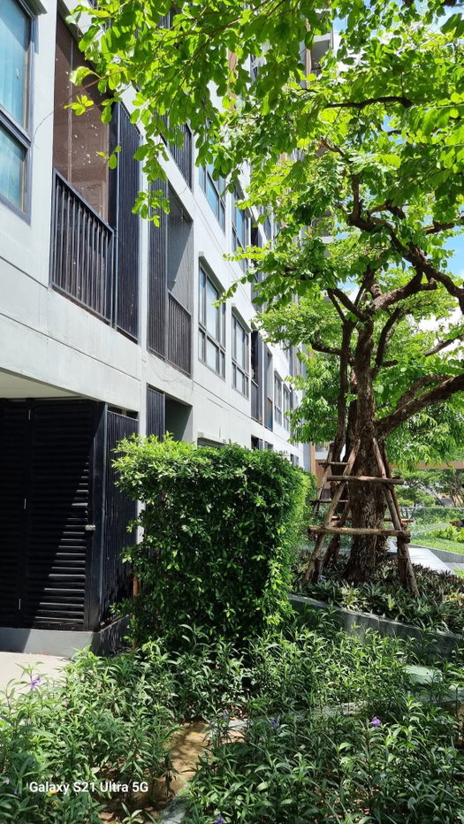 รูป เช่าคอนโด เดอะเบสไฮท์ มิตรภาพ ขอนแก่น ติดเซ็นทรัล 30 ตร.ม. ชั้น 4 10000 บ.เดือน - รูปที่ 12/17