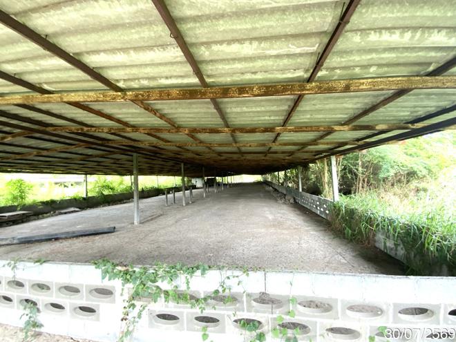 picture LAND 3345 Sq.w. Tha Wung Lopburi for 9.3M - 15/45