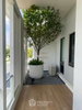 listing thumbnail image 31