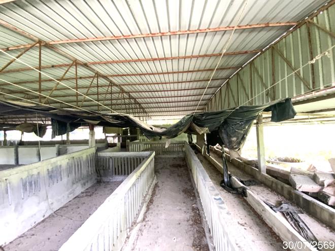 picture LAND 3345 Sq.w. Tha Wung Lopburi for 9.3M - 20/45
