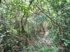 listing thumbnail image 7