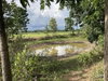 listing thumbnail image 32