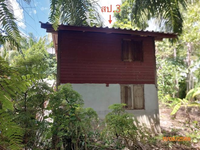 รูป บ้านเดี่ยว 320 ตร.วา ดอนสัก สุราษฎร์ธานี 1.5M - รูปที่ 6/15
