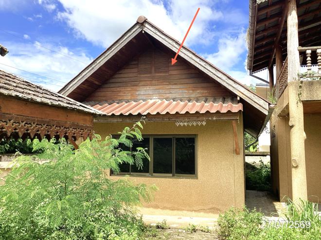 รูป บ้านเดี่ยว 198 ตร.วา ภูซาง พะเยา 2.8M - รูปที่ 11/29